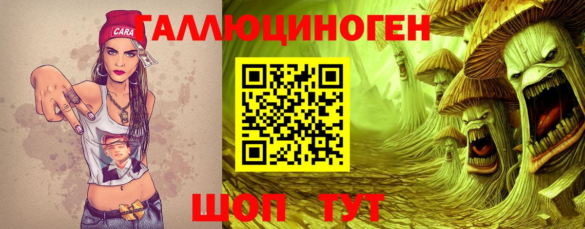 Галлюциногенные грибы Psilocybine cubensis Ливны