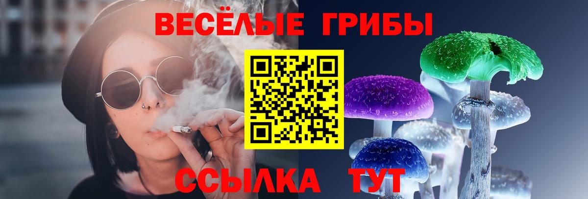Псилоцибиновые грибы Cubensis  Вход с VPN  Ливны 